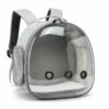 Pet Backpack Hamster Carrier Transparent Small Animal Carrier Guinea Pig Backpack Sugar Glider Ferret Pet Bag Rabbit Bunny Cage | VaquitaRepublic