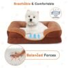 Memory Foam Pet Bed, Suitable For Small Dogs And Cats, With Washable And Removable Bedspread, Non-slip Base, Waterproof Padding, Egg Crate Foam, Improved Sleep, Brown, Extra Large | VaquitaRepublic